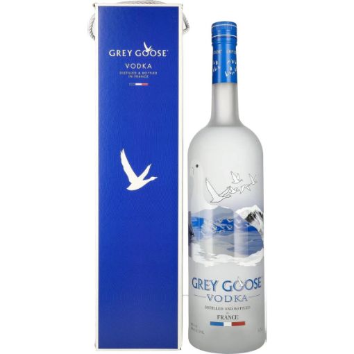 Slika GREY GOOSE 4,5 l